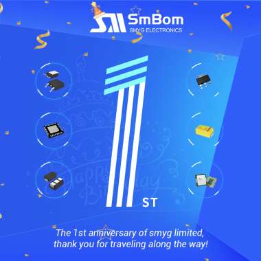 SMYG Hunan Branch Celebrates Its One-Year Anniversary!