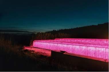 Next-Gen OSLON® Square Hyper-Red LED for Enhanced Plant Growth
