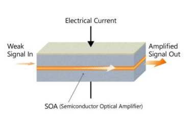 What Are Optical Amplifiers?