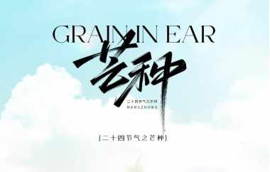 2025 Grain in Ear Arrives!